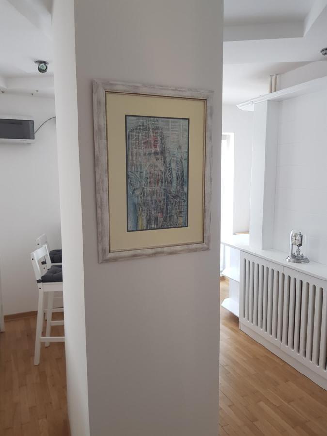 Centar Ns Apartment Novi Sad Bagian luar foto