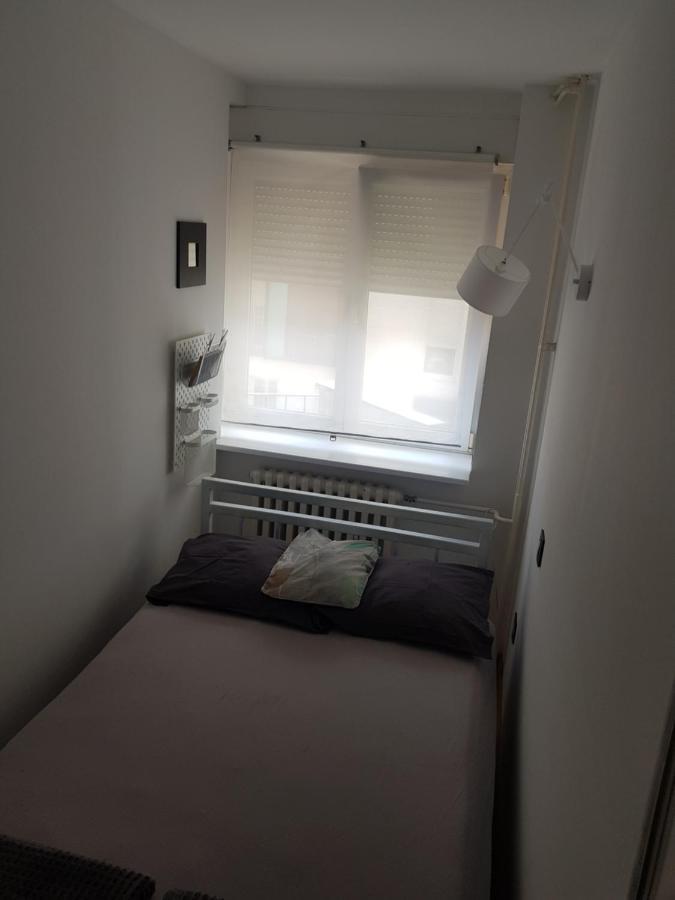 Centar Ns Apartment Novi Sad Bagian luar foto